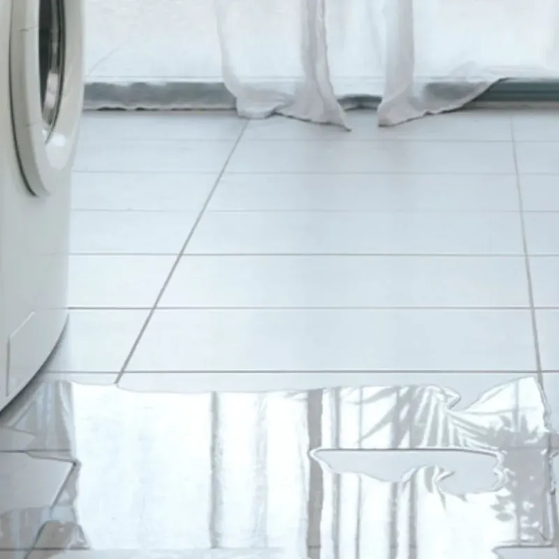 Appliance Leak Cleanup in Edcouch, TX