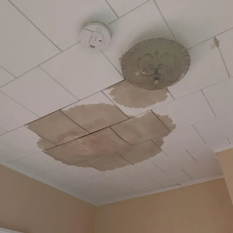 Ceiling Water Damage Repair in Edcouch, TX