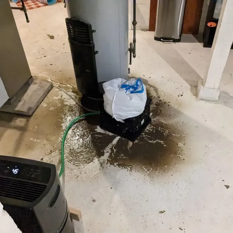 Sewage Backup Cleanup Service in Edcouch, TX